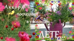 Аккорд последний в уходящем лете*    Мой сад