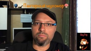 Пантерный мухомор I SkyTrip