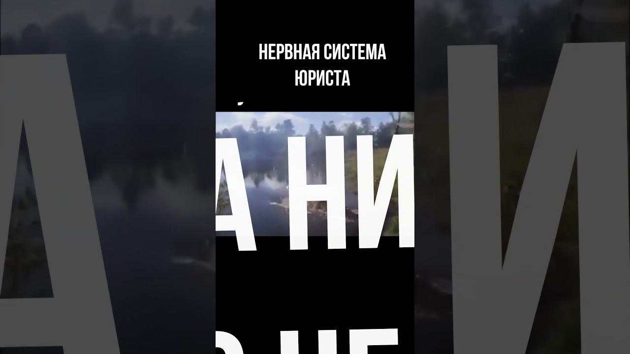 Нервная система молодого юриста смотреть онлайн