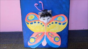 Смешные КОТЫ и ФОТОКАБИНКА ? Новое превращение котов LizaTube