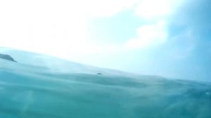 Снорклинг в Паттайе 2020, январь, на острове Ко-лан