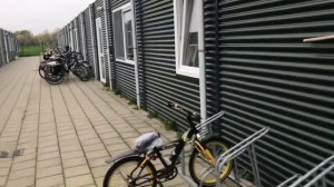 Возвращение в Нидерланды. Лагерь для беженцев во Фрисландии (провинция на севере Нидерландов)