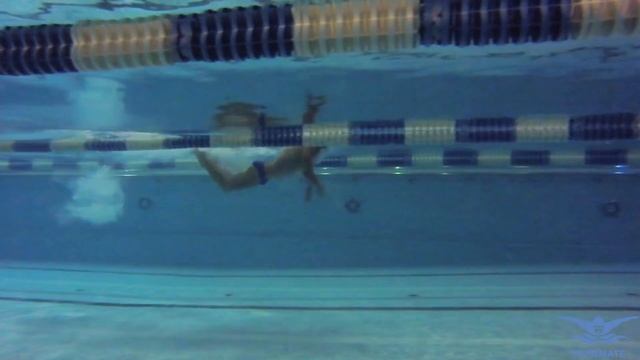 КАК НЕ УСТАВАТЬ, ПЛАВАЯ БАТТЕРФЛЯЕМ? УРОКИ БАТТЕРФЛЯЯ. УРОК 2 @ Swimmate.ru