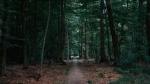 Вот это дело, рыбалка пикничок!