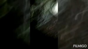 борьба с ястребом лучшый способ ?не нужно травить птицу