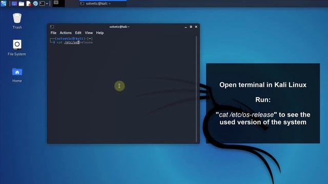 ✅ How to CHECK KALI LINUX VERSION ✔️ Command