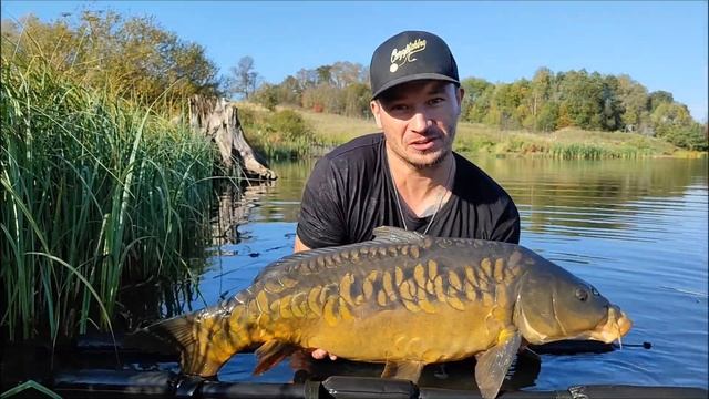 Отпускайте рыбу!? смотреть онлайн