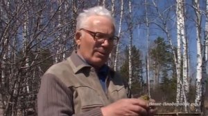 Выращивание картофеля.  Органические траншеи