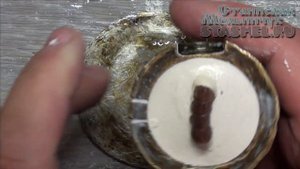 Пластмассовые зубные коронки. ч.3. Гипсовка модели в кювету.