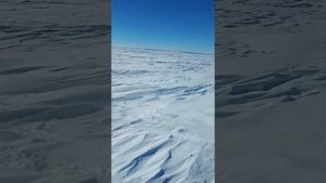 Снегоход своими  руками