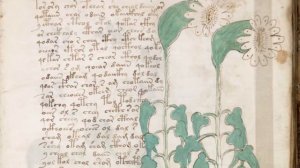 ЭТО ПРАВДА? Манускрипт Войнича