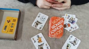 Поиграем? Обзор игры Loonacy