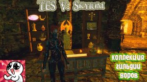 Skyrim. Коллекция Гильдии Воров
