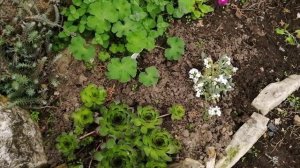 ВЕСНА - ЭТО  КРАСИВО!