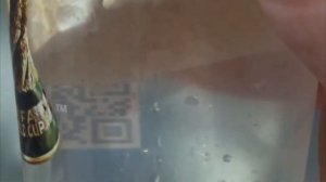 ЭКСПЕРИМЕНТ! ВЫВОДИМ ИЗ БЕЛЫХ ГРИБОВ ЧЕРВЕЙ! ПОМОГАЕТ ЛИ СОЛЬ? угар