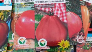 Томаты от Сибирского Сада. Что посадить в 2024 году? Новинки и проверенные сорта.