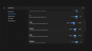TINY ITEMS MOD (Dulkir Mod Guide) | Hypixel Skyblock