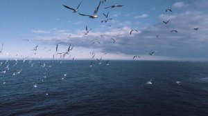 Дагестан Каспийское море 4К