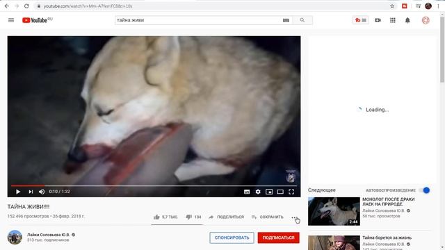 Как подать жалобу на канал или видео  Что делать если нарушаются твои права