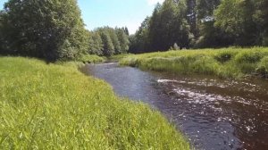 Харюзовая река Лемовжа