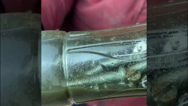 Реставряция двигателя мотоцикла мотоцикла Jawa Часть 2 смотреть онлайн