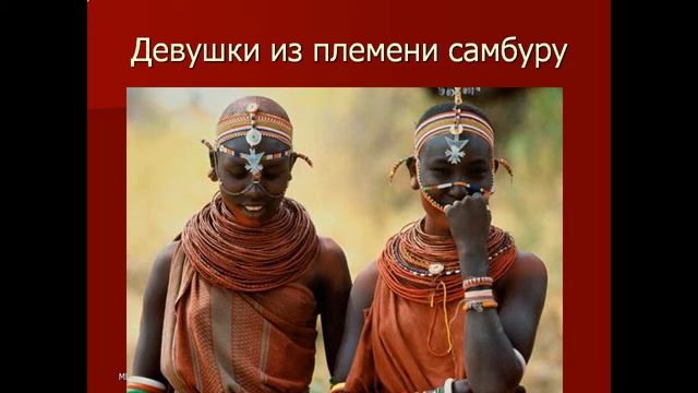 Презентация Народы Африки смотреть онлайн