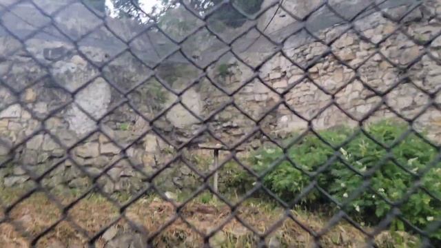 Moscow Zoo| Zoo In Russia| Zoopark| A Tour Around Beautiful Place In Moscow Russia.