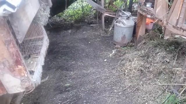 Мульча. Фабрика по производству смотреть онлайн