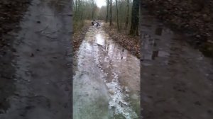 Альфа с водяным охлаждением.
