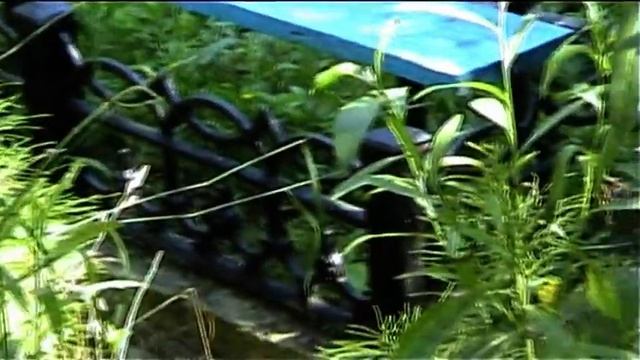 Краснокамск, кладбище 26 июля часть01 смотреть онлайн