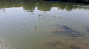 Рыбалка на усача в Армении