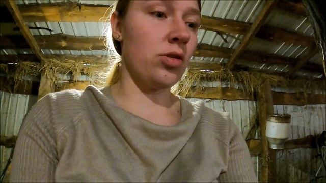 ?ВПІЙМАЛИ ОДНЕ ПОРОСЯ?НАПОЇЛИ СВИНОМАТКУ ПИВОМ?ТА ЛЕДВЕ НОГИ УНЕСЛИ? смотреть онлайн