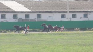 29.06.2024г.Абаканский Ипподром Приз Элиты лошади старшего возраста 1600м