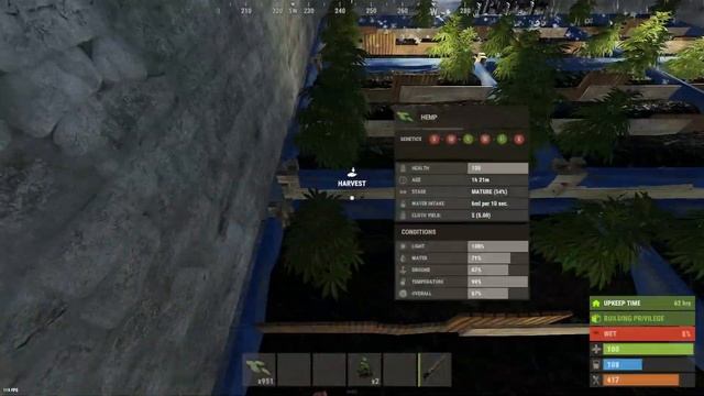 How to Crossbreed my POV | Rust смотреть онлайн