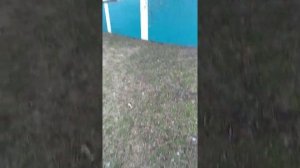 головень в непонятках