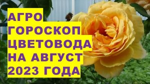 Агрогороскоп цветовода на август 2023 года. Агрогороскоп квітникаря на серпень 2023 року