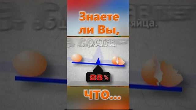 Знаете ли Вы, Что? Курица