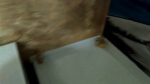 наливные стены своими руками 3D