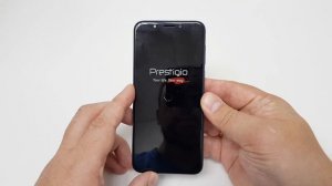 PRESTIGIO X PRO PSP7546 DUO blue spot on display / синее пятно на дисплее