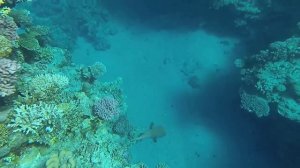 ЧАСТЬ 11, ШАРМ, ОТЕЛЬ Sunrise Remal Resort 4*  КАК ПРОХОДИТ ДЕНЬ.