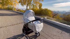 Rant DREAM 3в1 обзор модели