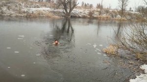 Закаливание всей семьёй 2.12.2021 - 3 °C   swimming, Icefamily, cold woter