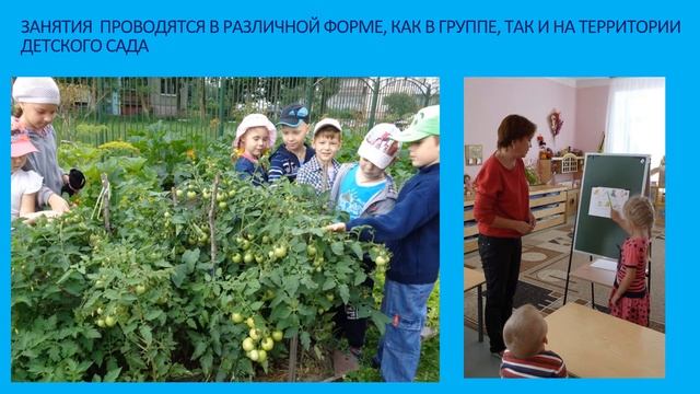 Роль экологического воспитания в развитии познавательных интересов у дошкольников