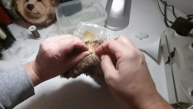 Набивка мишки с эффектом живого смотреть онлайн