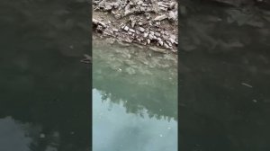 Дагестан Чиркейская ГЭС, прогулка на катере в ущелье каньона .