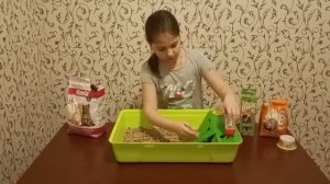 Декоративная крыса | Домашняя крыса | Уход и кормление