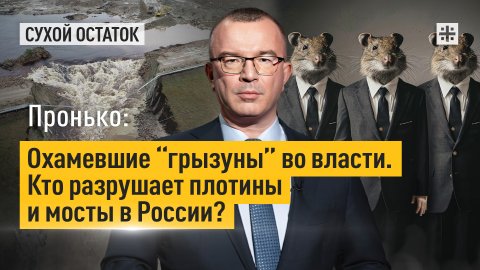 Пронько: Охамевшие "грызуны" во власти. Кто разрушает плотины и мосты в России?