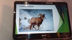 Таймырский заповедник ?✌