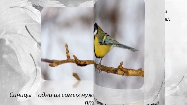 Синичкин день смотреть онлайн