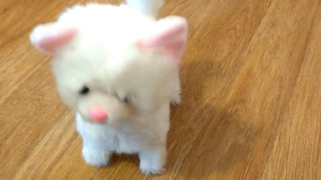 Интерактивный игрушка котенок